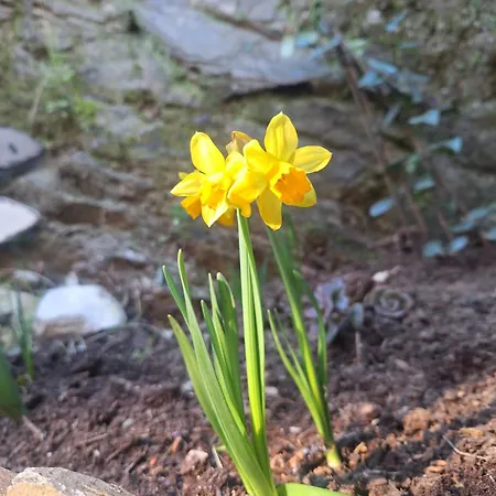 Petit Cocon * Toulon
